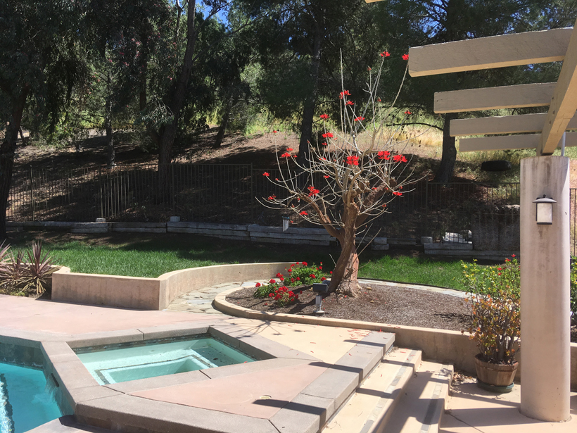 Stone Path Tree Planter, 2-Story Green Addition & Whole House Remodel, ENR architects, Granbury, TX 76049